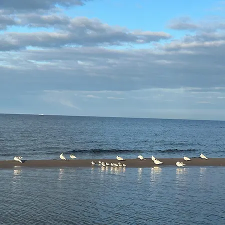 Zuhause Mit Aussicht تراسينهيد